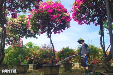 Từ vùng quê ven đô đến những triệu phú làng hoa