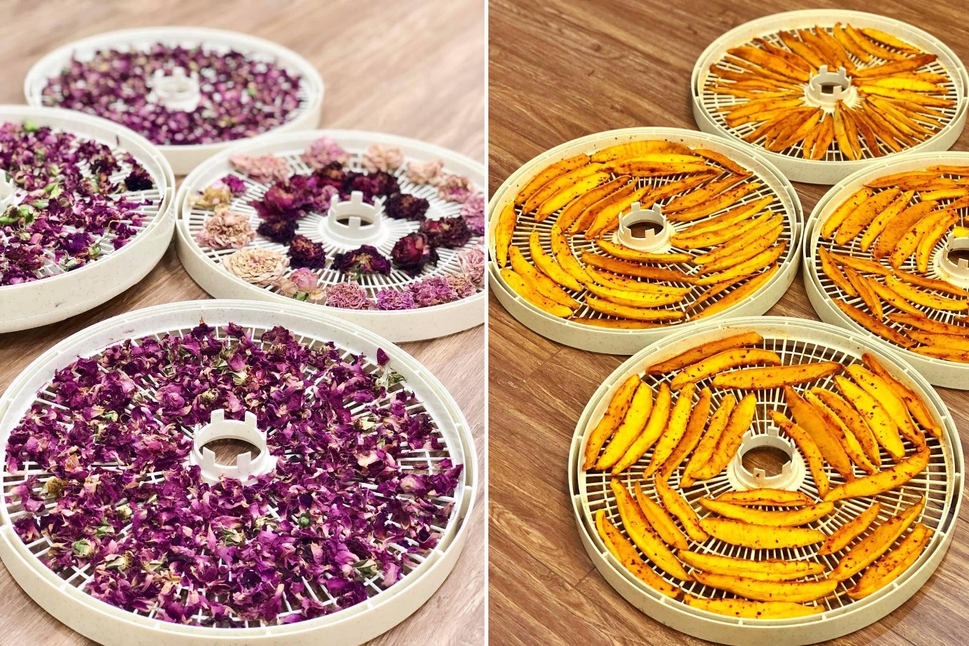 Tự làm trà hoa cúc chi thơm ngon, bổ dưỡng tại nhà - 4