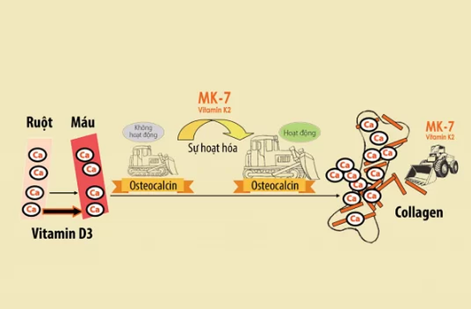 MediQ7 - Chìa khóa cho chiều cao của trẻ - 1 MediQ7 - Chìa khóa cho chiều cao của trẻ - 1