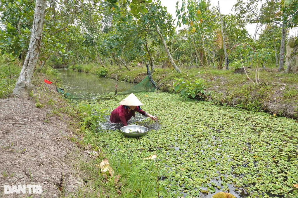 Người mẹ có cô con gái bị gù lưng ước Người mẹ có cô con gái bị gù lưng ước