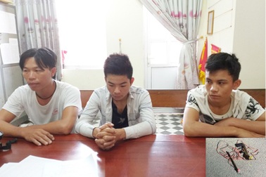 Đánh sập ổ nhóm trộm chó chuyên nghiệp