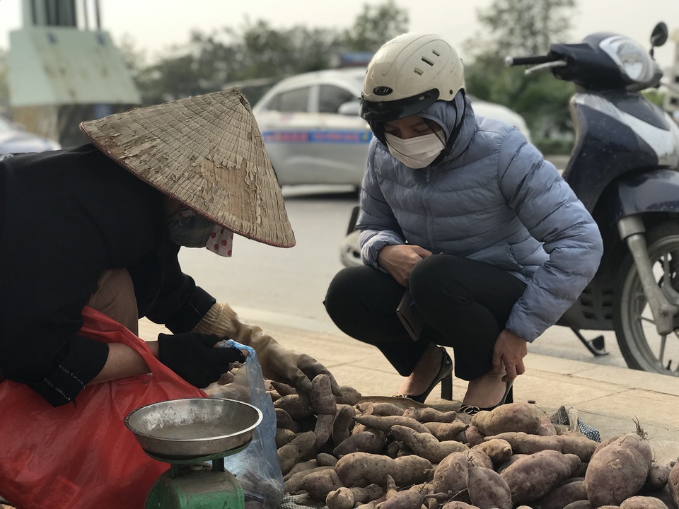 Hàng chục tấn khoai lang nằm la liệt, chờ giải cứu trên vỉa hè Hà Nội - 2 Hàng chục tấn khoai lang nằm la liệt, chờ giải cứu trên vỉa hè Hà Nội - 2