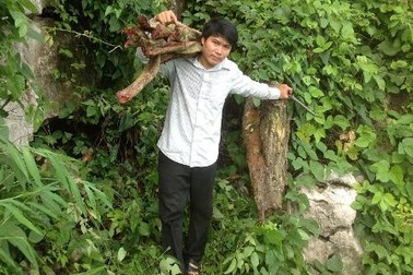 "Đại gia" vận tải bỏ phố lên rừng trồng dược liệu, lái xe cứu thương miễn phí