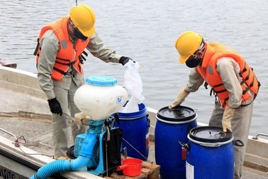 Vợ ông Nguyễn Đức Chung giả chữ ký con trai thành lập Công ty Arktic