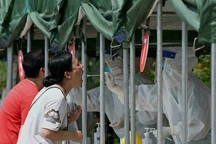 Trung Quốc xét nghiệm hàng loạt, cấp tập đối phó đợt dịch mới