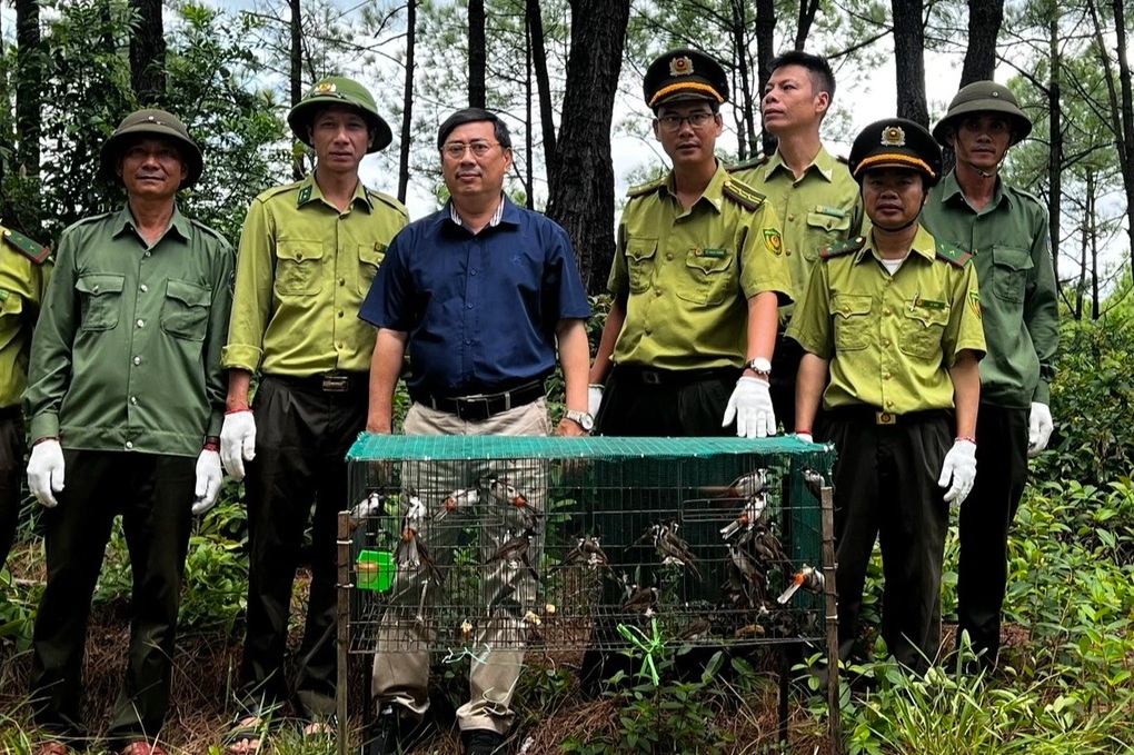 Xử phạt người bán 26 cá thể chim hoang dã trong dịp lễ Vu Lan - 2 Xử phạt người bán 26 cá thể chim hoang dã trong dịp lễ Vu Lan - 2