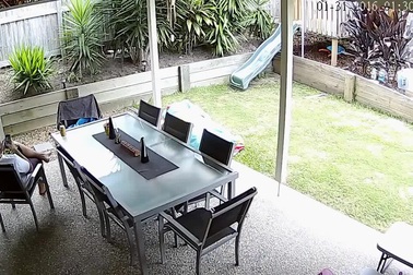 Chó cảnh báo giúp chủ khỏi bị rắn độc cắn