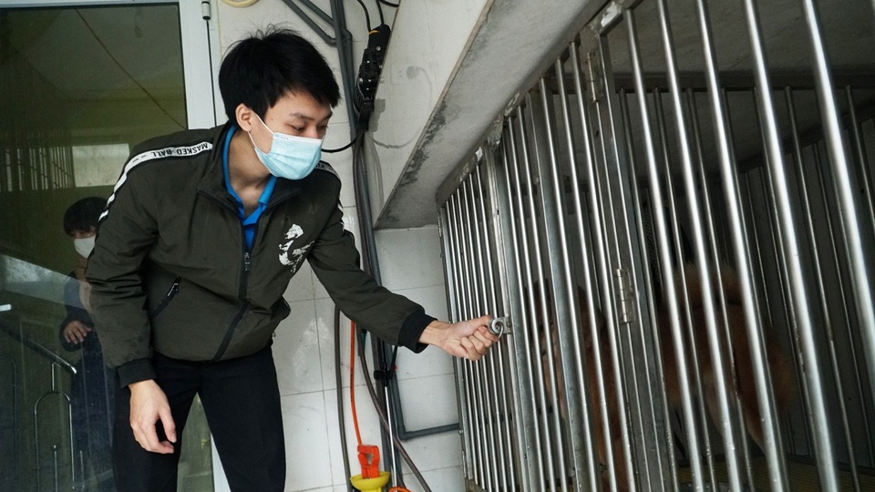 Dịch vụ trông thú cưng kiếm bội tiền cuối năm - 5 Dịch vụ trông thú cưng kiếm bội tiền cuối năm - 5