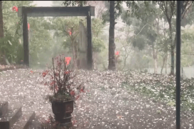 Mưa đá trắng trời ở các huyện biên giới Nghệ An