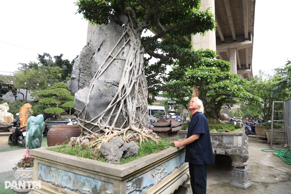 Hà Nội: Bỏ việc về làm vườn, người đàn ông sở hữu nhiều cây độc lạ - 6 Hà Nội: Bỏ việc về làm vườn, người đàn ông sở hữu nhiều cây độc lạ - 6