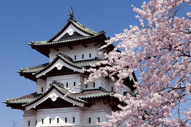 Đại sứ quán Nhật Bản tại Việt Nam: Cảnh báo về những “chiêu lừa” du học 