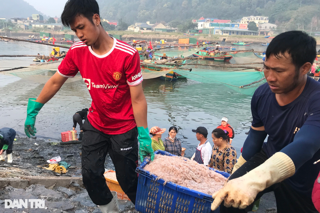 Đi một đêm, ngư dân Nghệ An thu về hàng chục triệu đồng - 5 Đi một đêm, ngư dân Nghệ An thu về hàng chục triệu đồng - 5