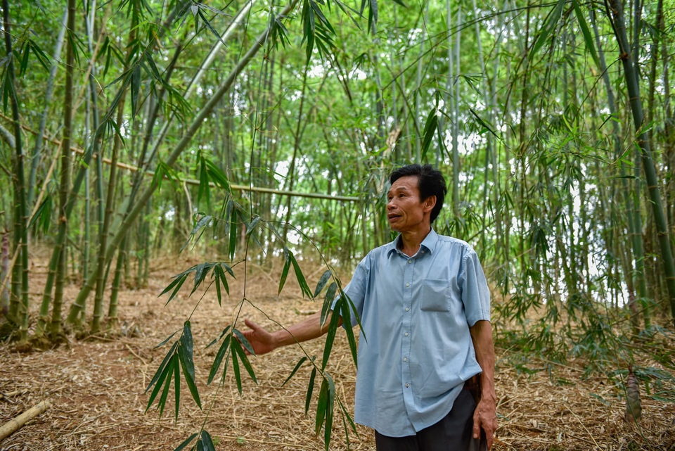 “Rừng luồng khuyến học” chắp cánh ước mơ đến trường của họ Bùi xứ Thanh - 1 “Rừng luồng khuyến học” chắp cánh ước mơ đến trường của họ Bùi xứ Thanh - 1