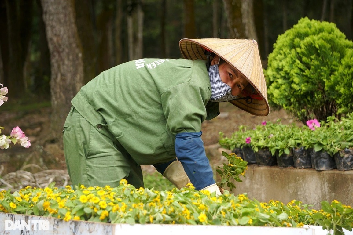 Giới trẻ thỏa sức sống ảo với đường hoa tình yêu trên đỉnh Trường Lệ - 9 Giới trẻ thỏa sức sống ảo với đường hoa tình yêu trên đỉnh Trường Lệ - 9