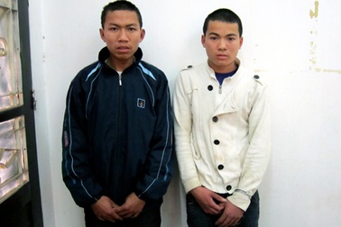 Bắt quả tang 2 đối tượng đốn hạ 7 cây sưa đỏ