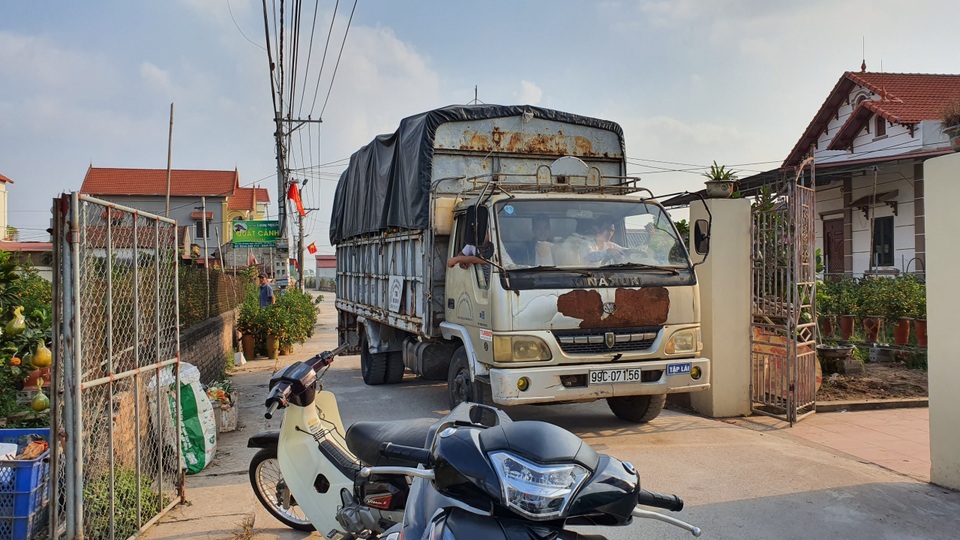 Năm ngoái được giá, năm nay cả làng đua nhau trồng quất lọ - 3 Năm ngoái được giá, năm nay cả làng đua nhau trồng quất lọ - 3