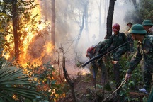 Người phụ nữ tử vong khi cố dập lửa ở đám cháy gần nhà