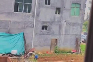 Chó gây kinh ngạc vì nhảy thẳng từ trên tầng cao xuống đất