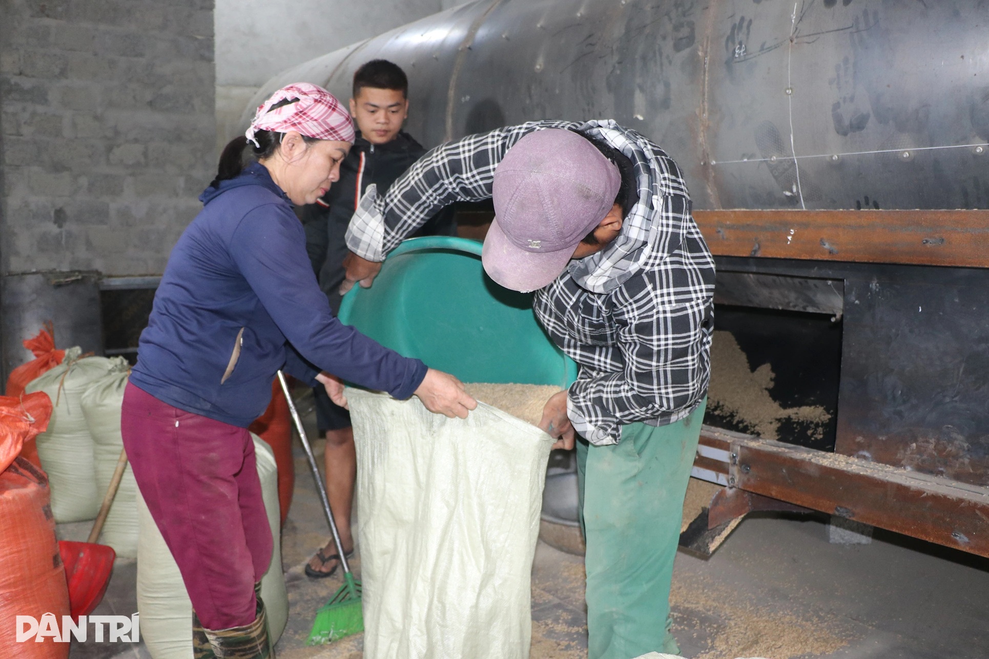 Lão nông chế máy sấy lúa và giấc mơ nâng cao giá trị hạt gạo - 2 Lão nông chế máy sấy lúa và giấc mơ nâng cao giá trị hạt gạo - 2