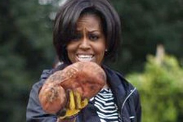 Đệ nhất phu nhân Mỹ thu hoạch khoai