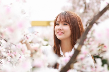 Nữ sinh tuổi 18 xinh xắn, hồn nhiên bên hoa anh đào