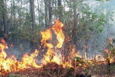 Hai anh em ruột chết thương tâm khi đốt thực bì