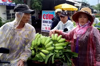 Nhộn nhịp chợ chuối Tết hơn 30 năm lớn nhất Nam Trung Bộ