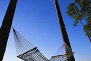 Teen thử cà phê “võng”  