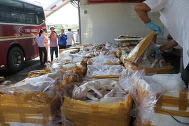 Hàng tấn heo sữa thối thành đặc sản tiệc cưới