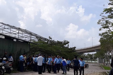 Vụ tài xế ở Đà Nẵng ngưng việc: Công ty đối thoại với người lao động