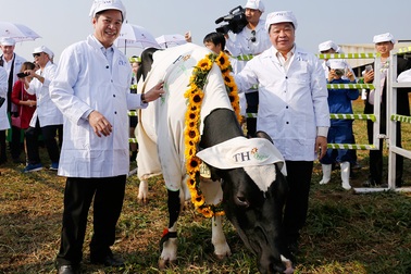 Tập đoàn sữa sở hữu trang trại bò hữu cơ đầu tiên của Việt Nam