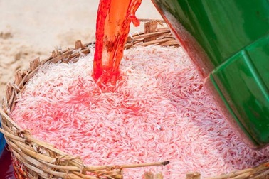 Hoang mang trước hình ảnh ngư dân dùng phẩm màu tẩm đỏ ruốc