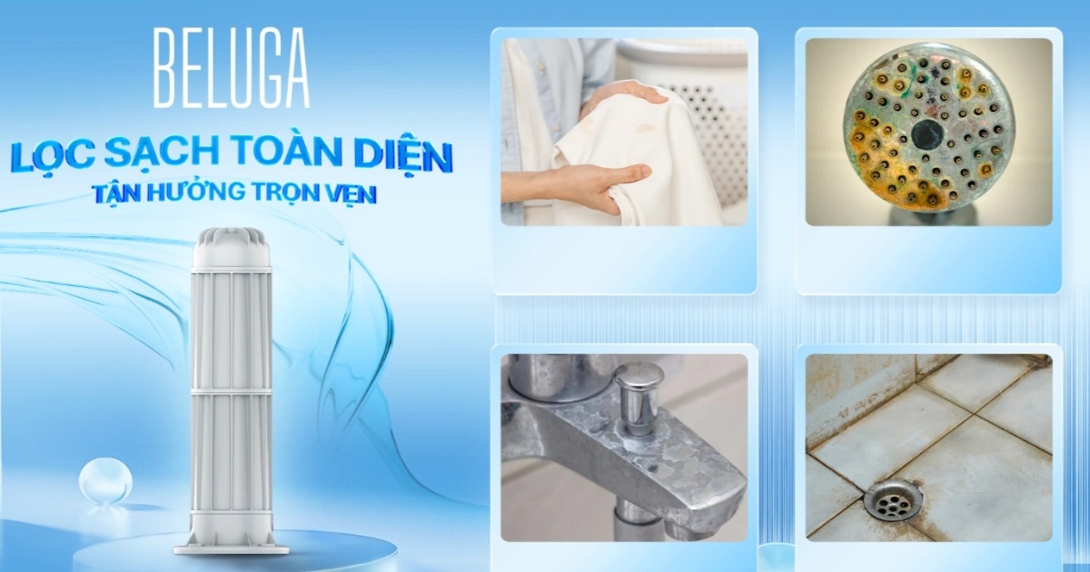 Bộ lọc đầu nguồn Beluga - Lớp bảo vệ cho tổ ấm gia đình