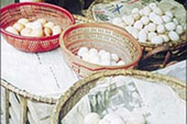 Hoang mang vì... trứng gà giả