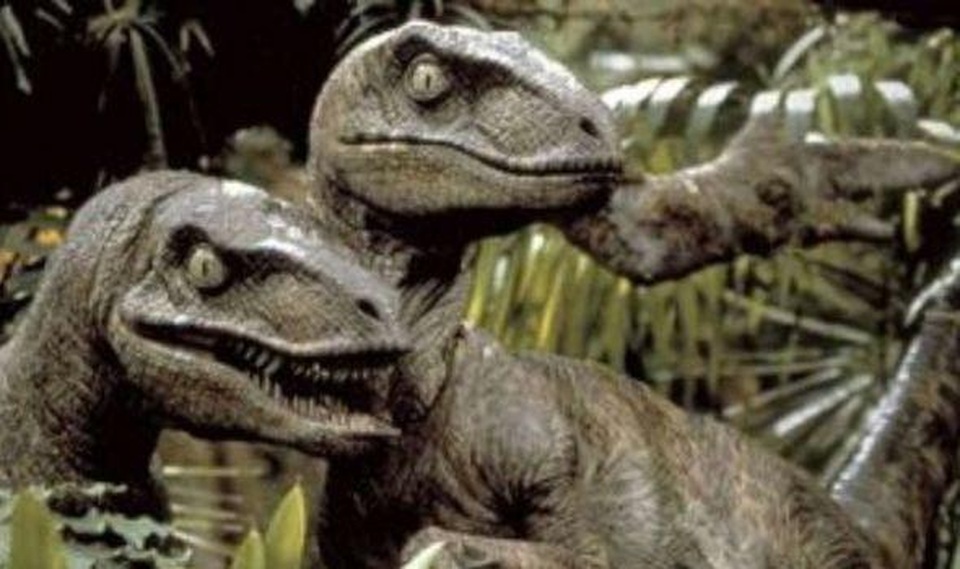 Bộ phim Công viên kỷ Jura đã sai: Khủng long Raptor không đi săn theo bầy - 1 Bộ phim Công viên kỷ Jura đã sai: Khủng long Raptor không đi săn theo bầy - 1