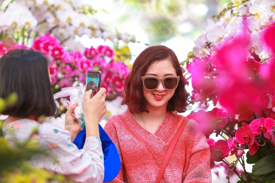 Chậu lan hồ điệp “khủng” cao hai mét, giá trăm triệu phục vụ đại gia chơi Tết Canh Tý - 12 Chậu lan hồ điệp “khủng” cao hai mét, giá trăm triệu phục vụ đại gia chơi Tết Canh Tý - 12