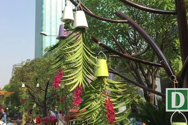 Người Sài Gòn du xuân sớm trên đường hoa Nguyễn Huệ