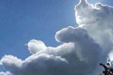 Đám mây giống hệt chú gấu nằm ngửa trên bầu trời