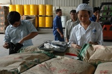 Doanh nghiệp “bên bờ vực” vì sữa bị tẩy chay