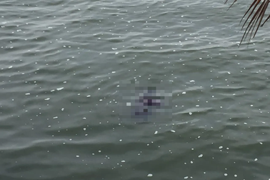 Hà Nội: Phát hiện thi thể người nổi trên hồ Tây