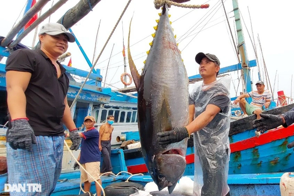Hàng nghìn tỷ đồng được cam kết rót vào các dự án lớn tại thị xã Hoài Nhơn - 1 Hàng nghìn tỷ đồng được cam kết rót vào các dự án lớn tại thị xã Hoài Nhơn - 1