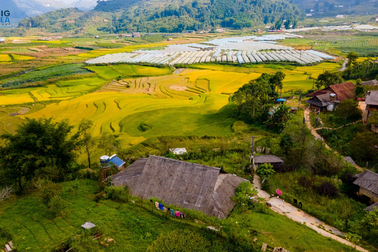 Lào Cai chấn chỉnh hành vi mua bán bất động sản trao tay