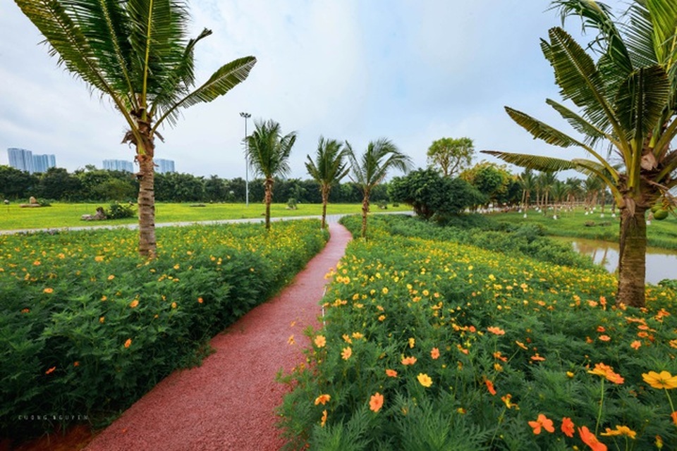 Chán nội đô khói bụi, cặp vợ chồng trẻ Hà Nội bán nhà ra ven đô sống xanh” - 2 Chán nội đô khói bụi, cặp vợ chồng trẻ Hà Nội bán nhà ra ven đô sống xanh” - 2