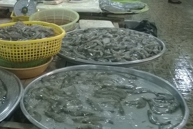 Phạt một tiểu thương 4 triệu đồng vì bơm tạp chất vào tôm