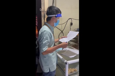 Clip Phó Chủ tịch phường cùng tổ liên tác liên ngành xử phạt hộ bán bánh mi