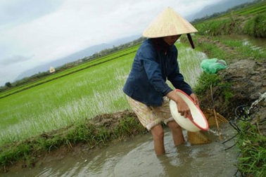 Bàng hoàng vì lũ muộn!