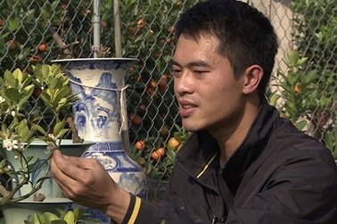 Làm giàu với quất Tết