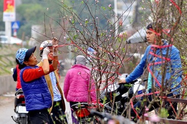 Thời tiết cả nước dịp Tết Kỷ Hợi 2019 diễn biến thế nào?