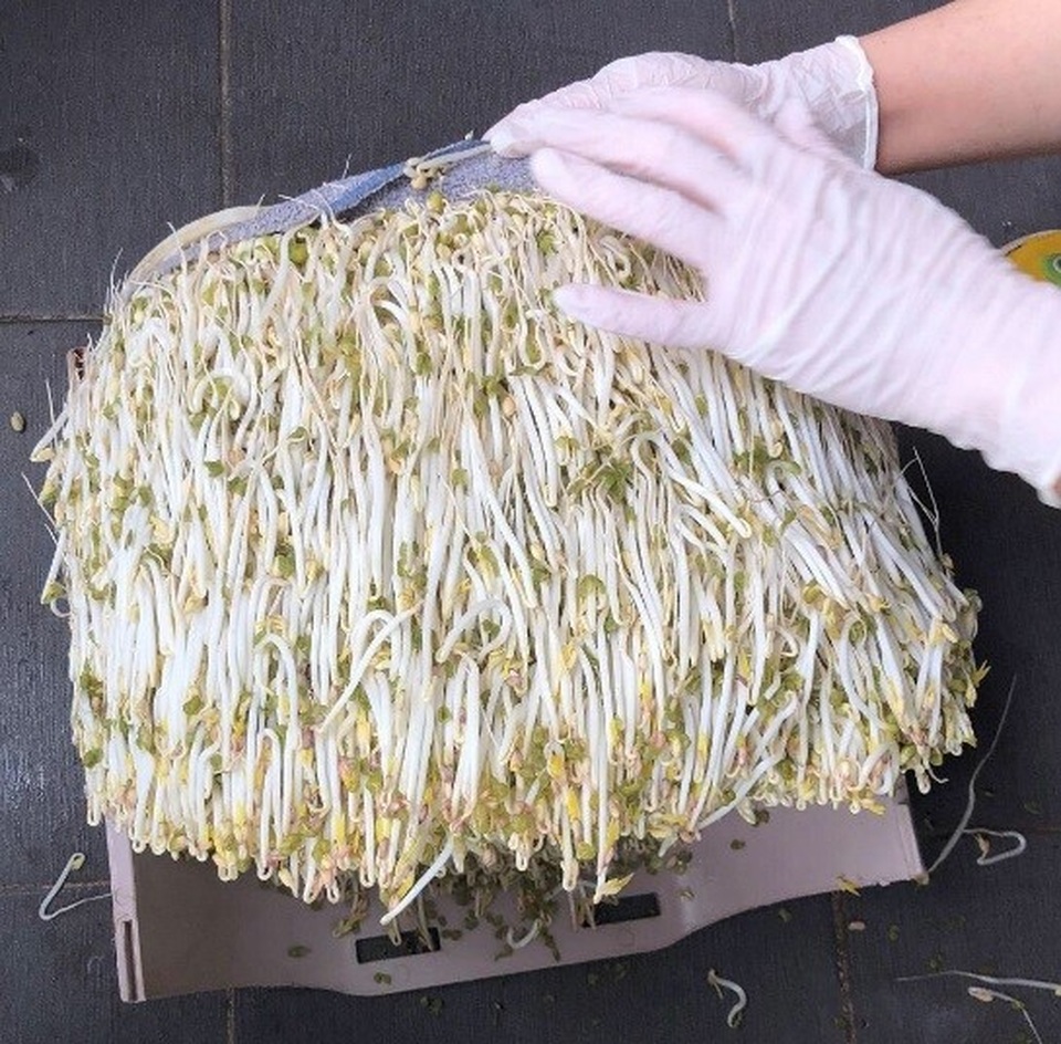 Chuyện về tiến sĩ trẻ theo đuổi ước mơ người dùng Việt được dùng giá sạch - 3 Chuyện về tiến sĩ trẻ theo đuổi ước mơ người dùng Việt được dùng giá sạch - 3