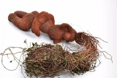 Chữa bạc tóc tận gốc với bài thuốc trăm năm tuổi